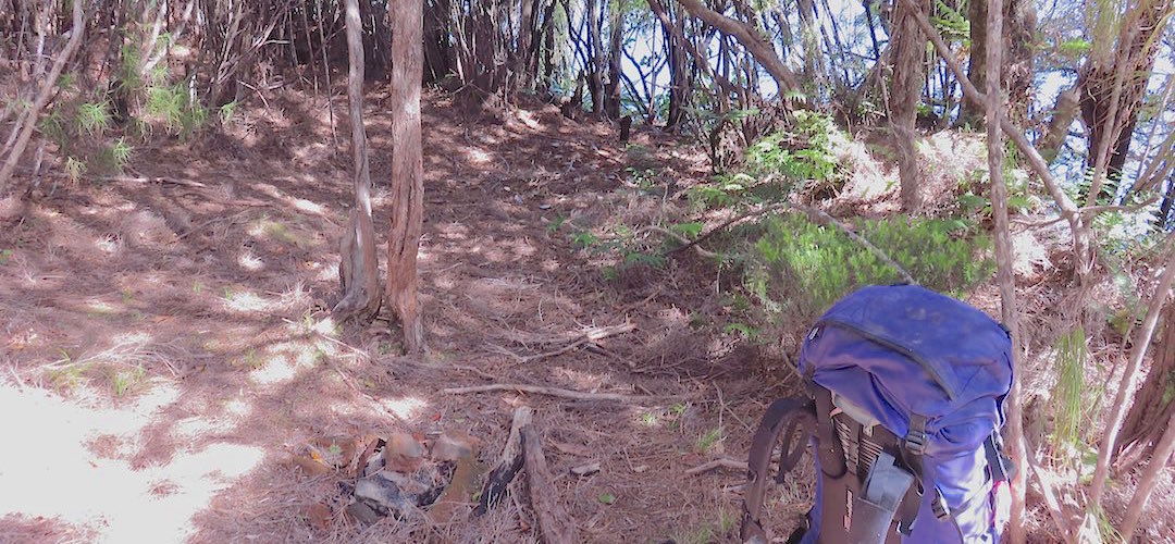 There's actually more slope on this campsite than is apparent. | North Arm, Port Pegasus campsite, Tin Range, Rakiura National Park, Stewart Island