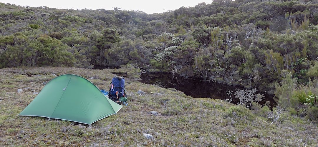 To be honest it's kinda lumpy here, but at least there's space. | Tramline campsite, Tin Range, Rakiura National Park, Stewart Island