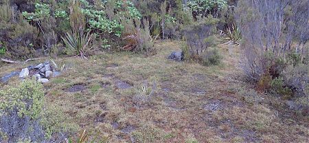 Looks as if others have found this spot over the years.. | Tramline dam campsite, Tin Range, Rakiura National Park, Stewart Island