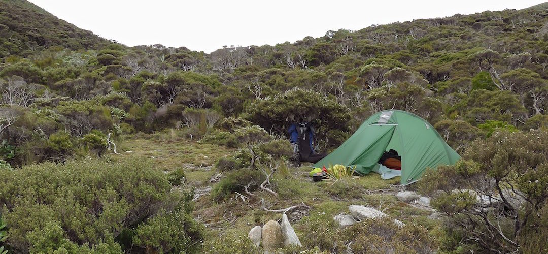 There's not a lot of choice of where to pitch your tent.  | Twin Pools Crossing campsite, Tin Range, Rakiura National Park, Stewart Island