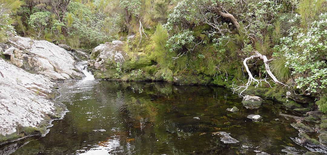 There's a couple of decent plunge pools to cool off, if the weather is favourable. | Twin Pools Crossing campsite, Tin Range, Rakiura National Park, Stewart Island