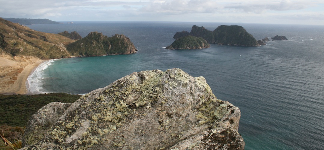 Ruggedy Range, Rakiura National Park, Stewart Island