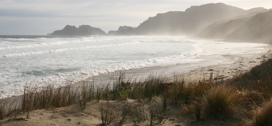 West Ruggedy Beach on the west coast | Rakiura National Park, Stewart Island