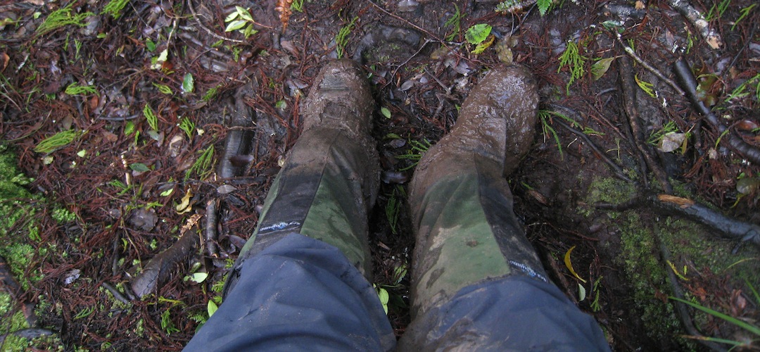 mud, better to have decent gaiters and overtrou. Rakiura National Park, Stewart Island