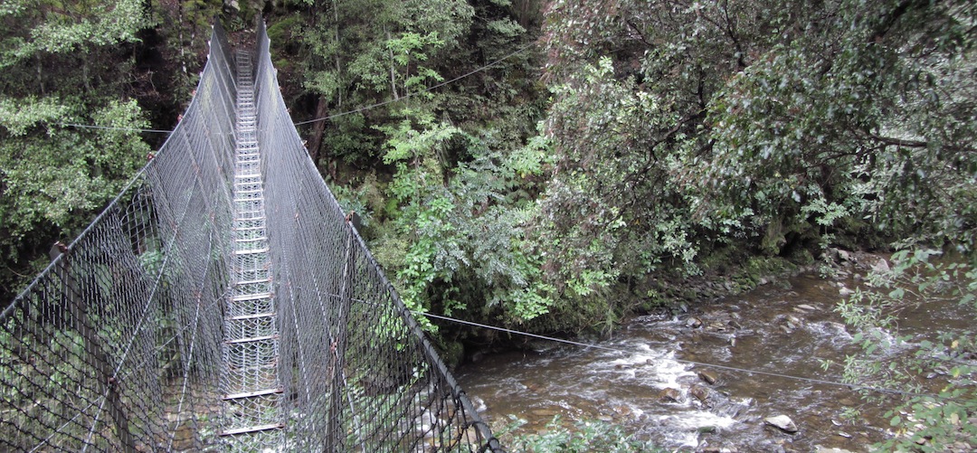 swingbridge on Leslie Karamea Track, Kahurangi National Park