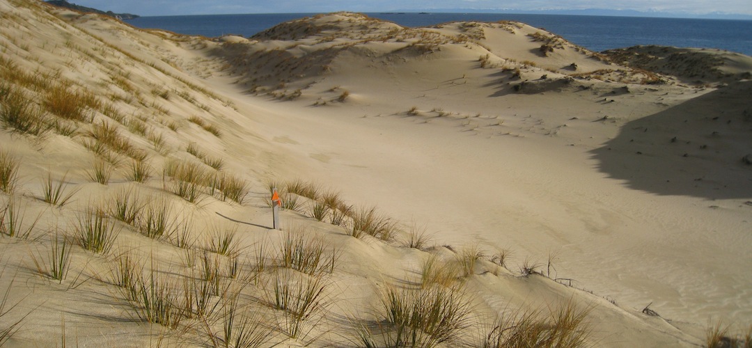 Smoky Beach, Rakiura National Park