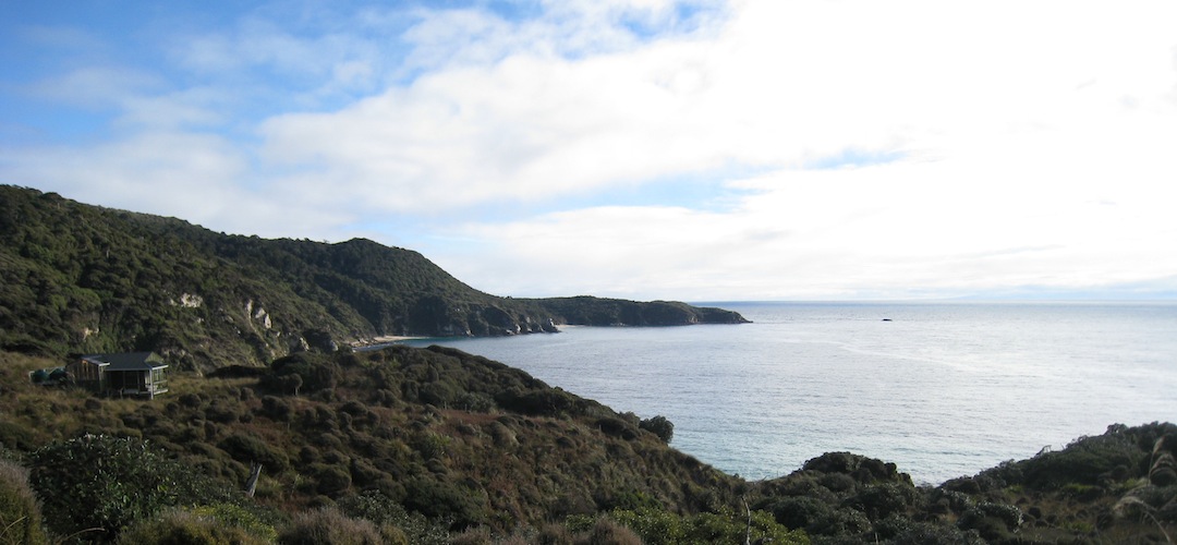 Long Harry Hut, Rakiura National Park, Stewart Island