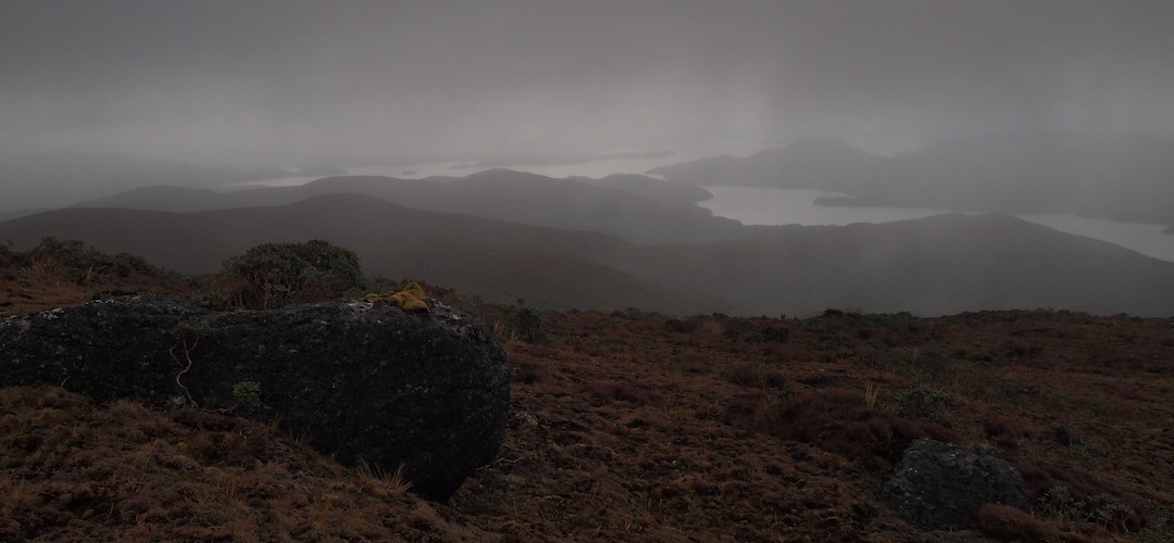 Mt Rakeahua, Southern Circuit, Stewart Island