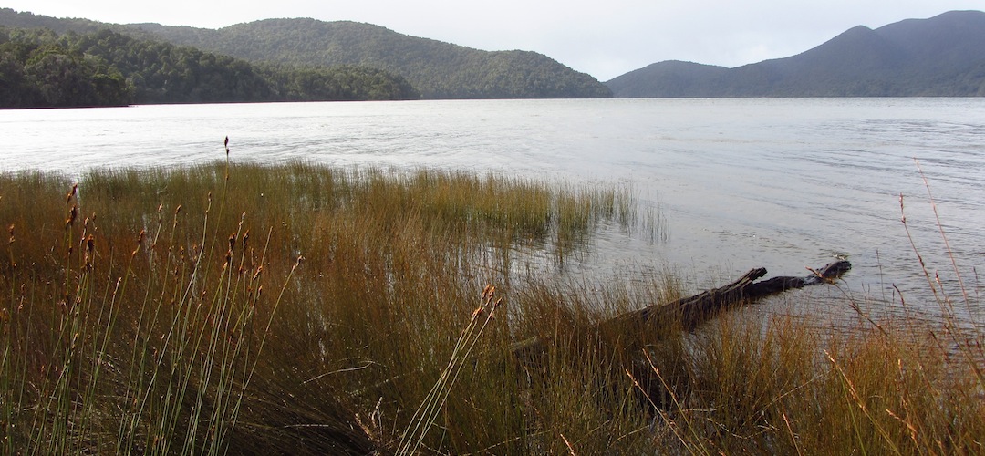 south west arm of Patterson Inlet, Stewart Island