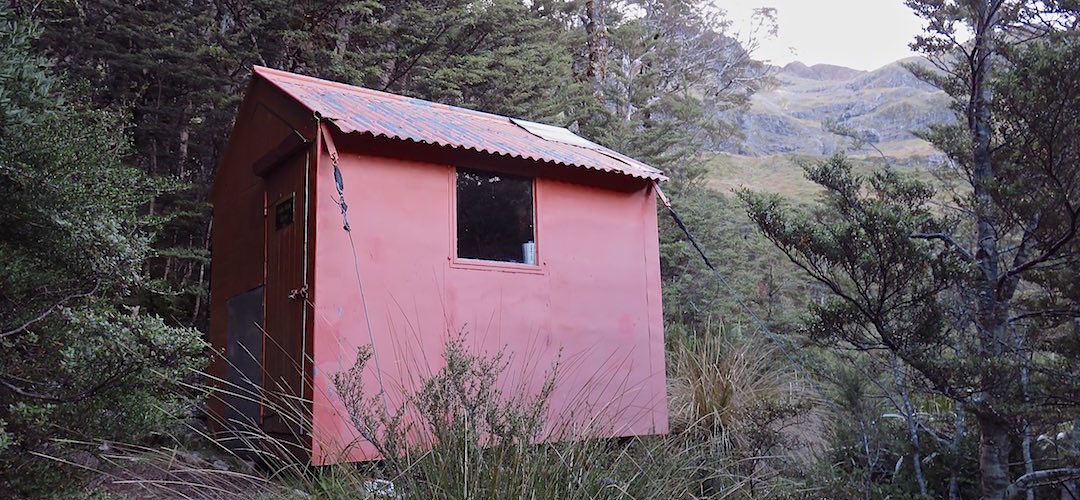 sure tiny  | Lake Man Bivvy, Lake Sumner Conservation Park
