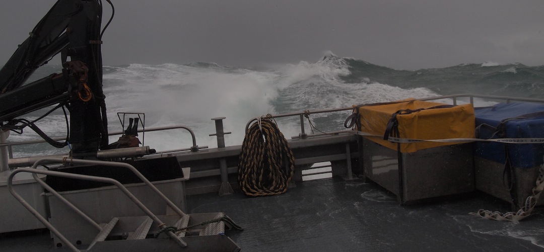 On the ferry, Foveaux Strait
