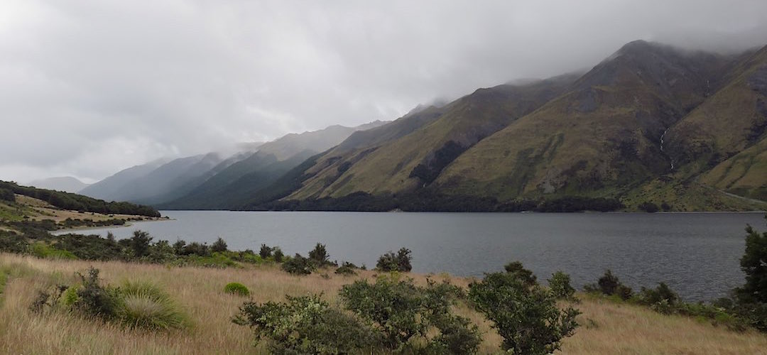 that's the North Mavora Lake | Mavora Greenstone Walkway, Mavora Lakes Conservation Park