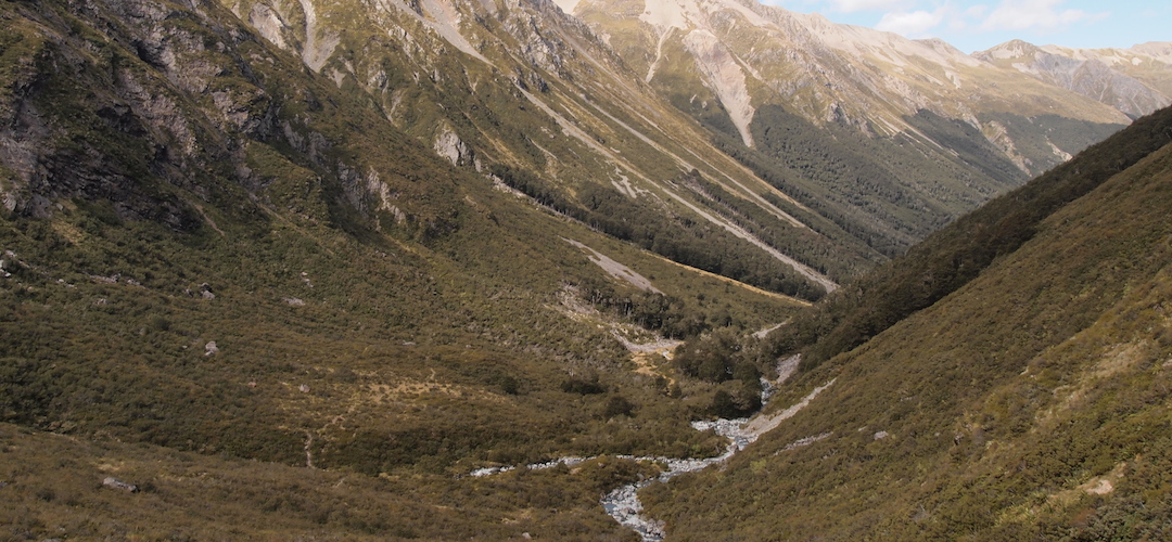 the campsite is in the trees just below the junction | Waiau Forks campsite, Nelson Lakes National Park
