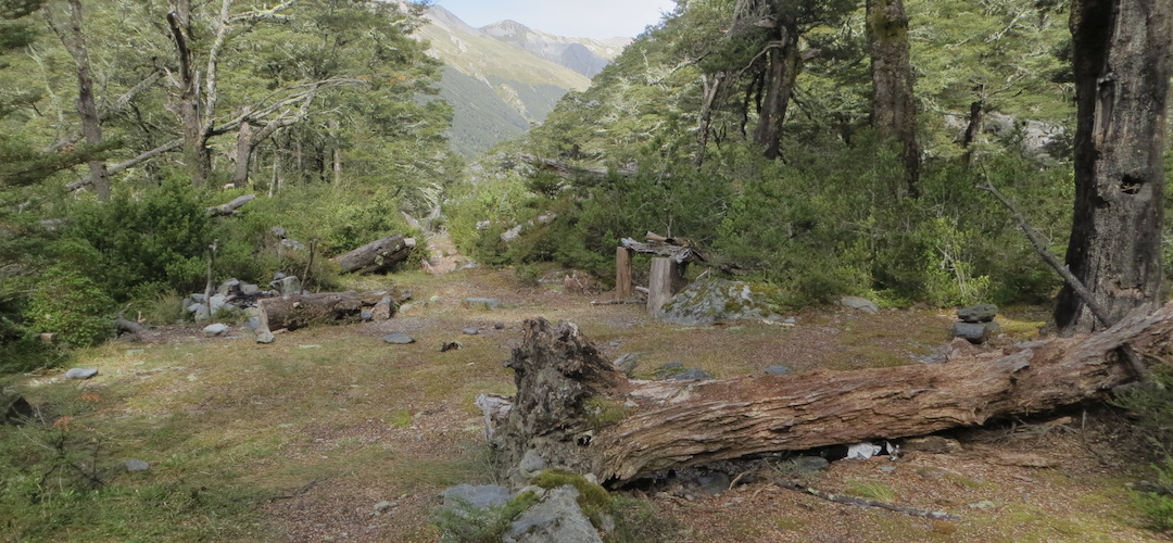 not too much clear space other than what you see here | Waiau Forks campsite, Nelson Lakes National Park