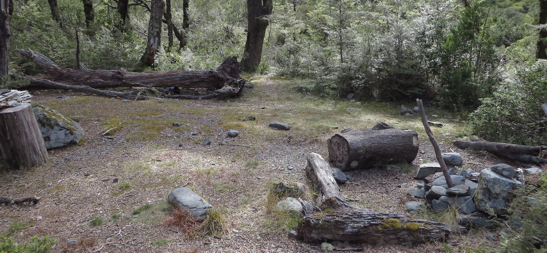 or here  | Waiau Forks campsite, Nelson Lakes National Park
