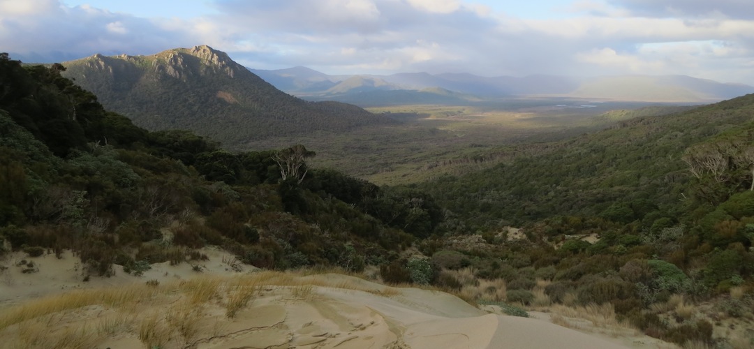 Benson Peak from Hellfire Pass, Stewart Island