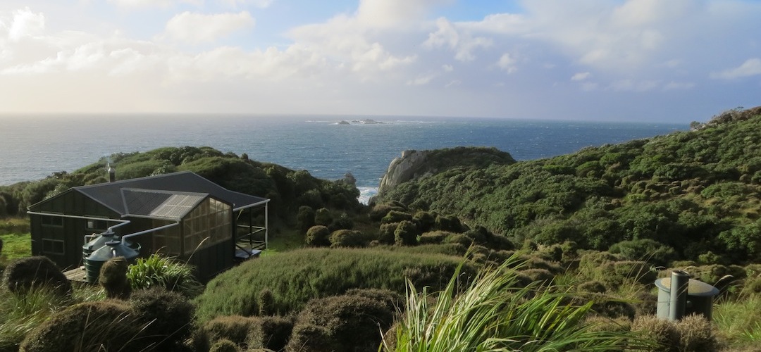 Long Harry Hut, North-west Circuit, Stewart Island