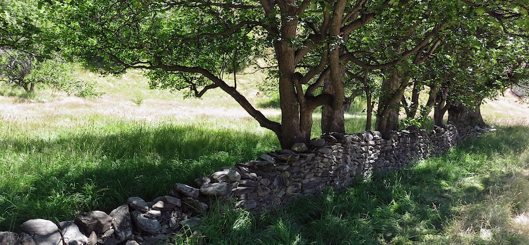 There's evidence of the old gold mining days, but not much. | Macetown campsite, Arrow River near Arrowtown