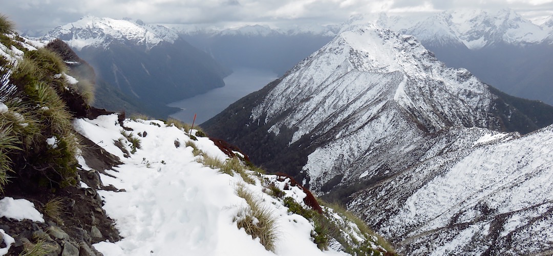 The mountains are steep here | Kepler Track avalanche zones, Fiordland National Park