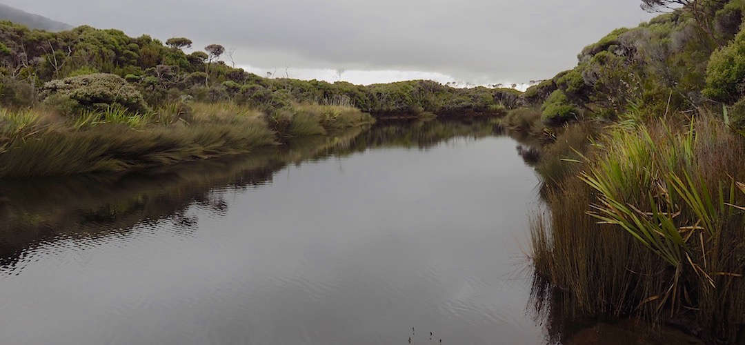 Here is the actual Tolson River, the Freshwater River is not far away. | Tolson River hunter’s campsite, Southern Circuit, Rakiura National Park 