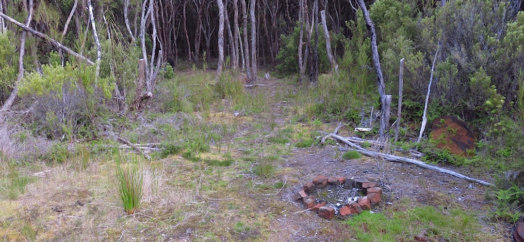 There is some evidence of previous inhabitants of the campsite. | Tolson River hunter’s campsite, Southern Circuit, Rakiura National Park 