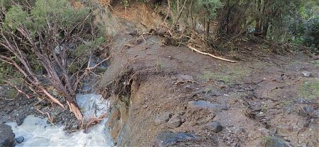 Browning Stream has been up a bit after the latest deluge | Mt Richmond Forest Park