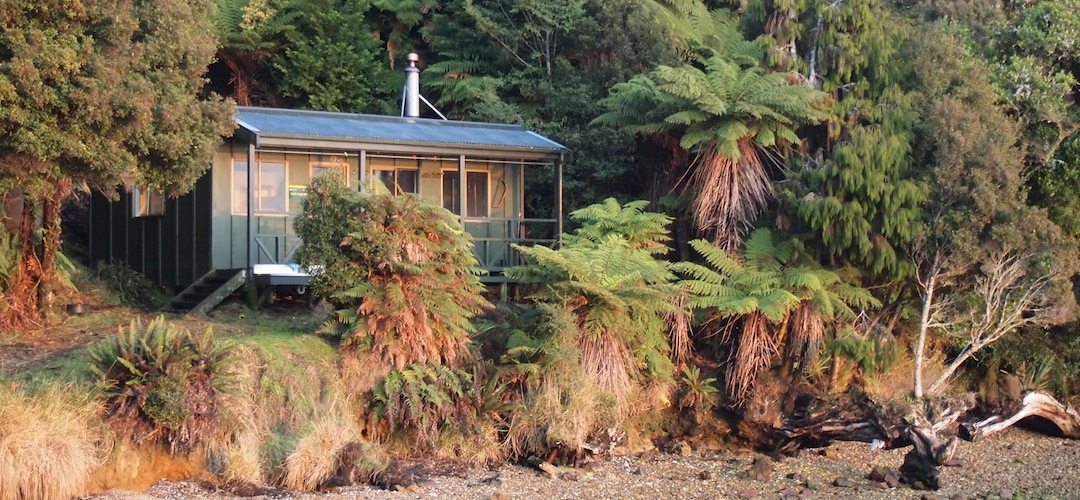 Freds Camp Hut, Rakiura National Park, Stewart Island