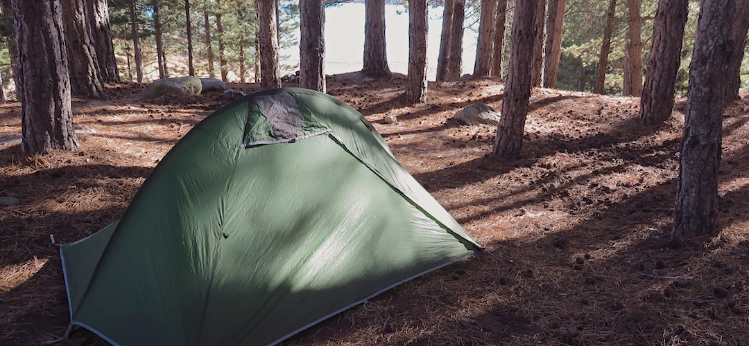 In amongst the pines. The cars can't get up here. | The Pines freedom campsite, Lake Pukaki Reserve