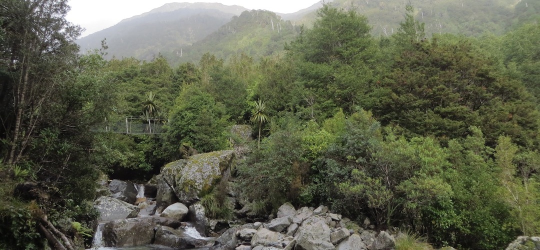 swingbridge over the Little Wanganui River
