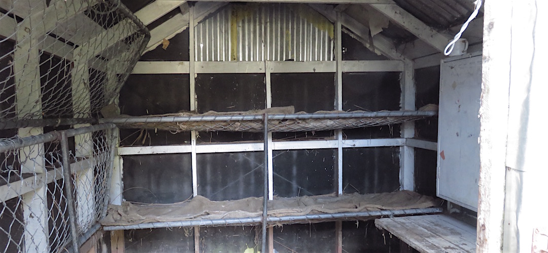  the bunks are short and narrow. Maybe not so comfortable.   |  Old Boulder Lake Hut, Kahurangi National Park