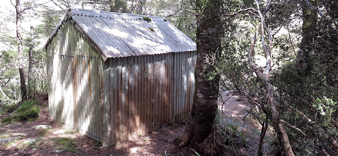  Just a whole lot of corrugated iron.  |  Old Boulder Lake Hut, Kahurangi National Park