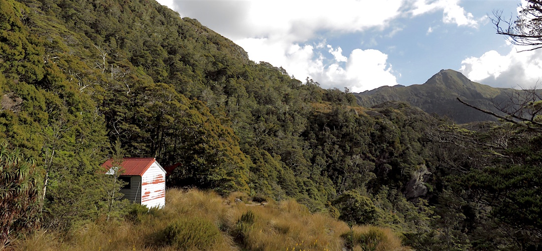 The hut is on the edge of the forest. |  Lonely Lake Hut, Kahurangi National Park