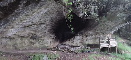 It's all out in the open air, except for that rock overhang. | Rock Shelter, Kahurangi National Park