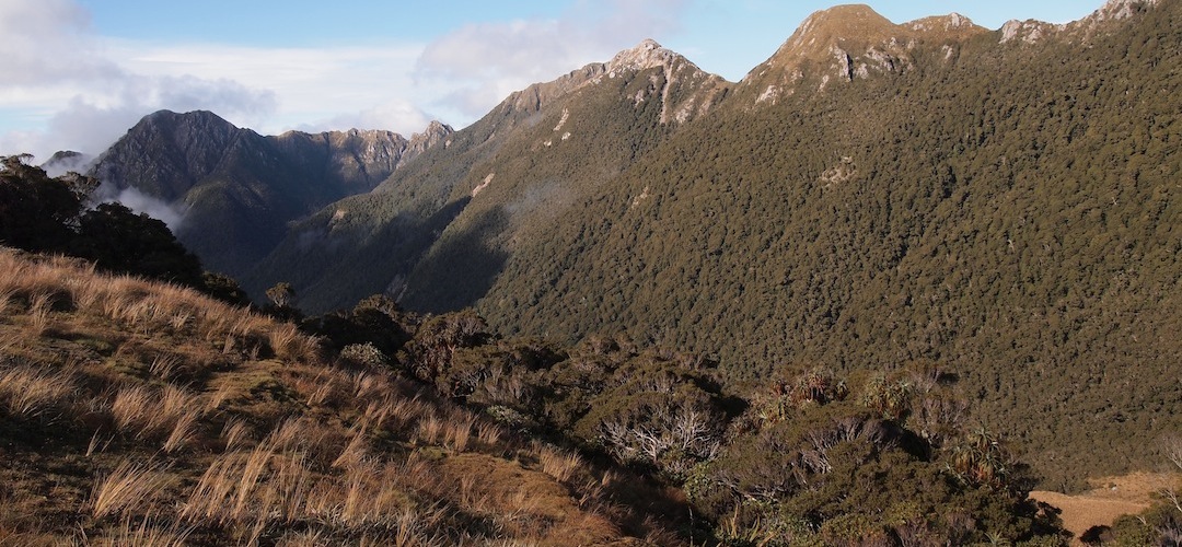 Little Wanganui Saddle looking down into the Taipo River valley and Stag Flat