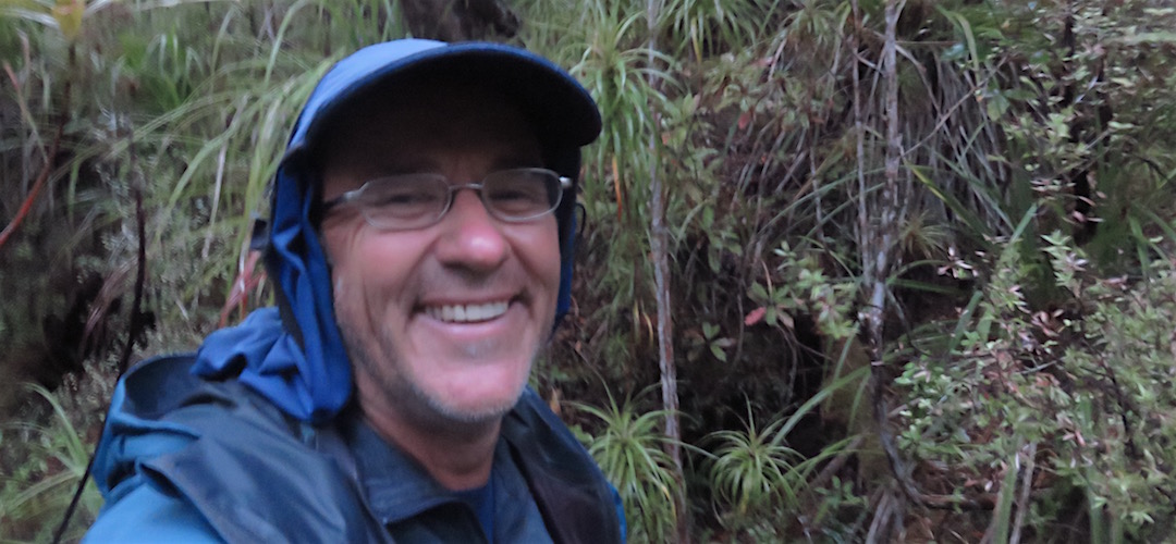 My only photo on a very damp day.  Do I care? Apparently not. |  Kahurangi National Park