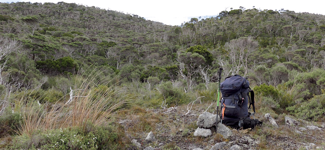 Out in the middle of nowhere there was a lichen covered cairn.  |  Kahurangi National Park