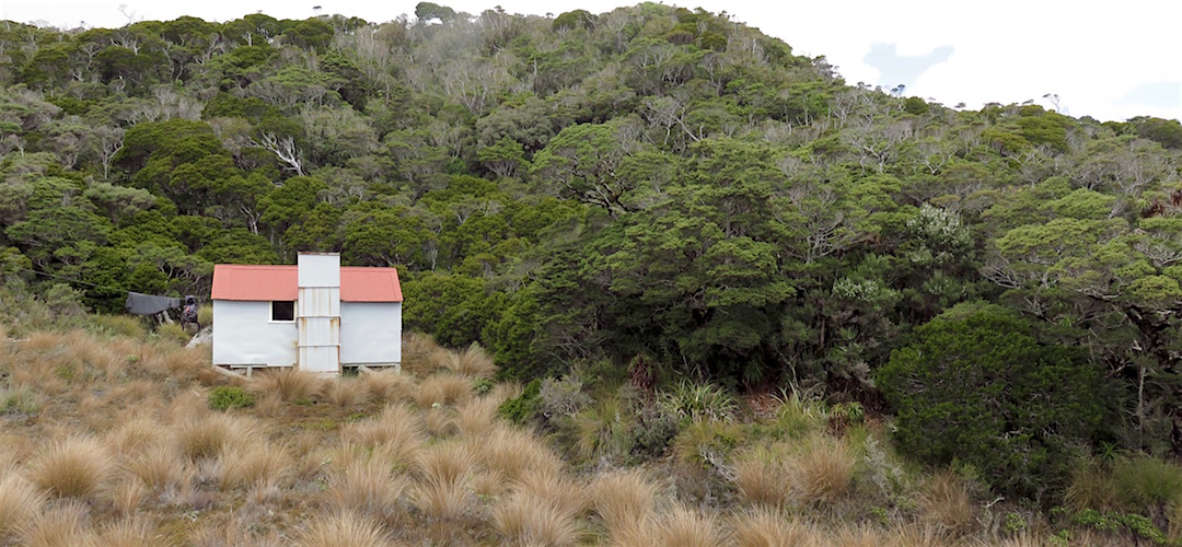  My sleeping bag and pack have been hung out to dry. |  Ministry of Works Historic Hut, Kahurangi National Park
