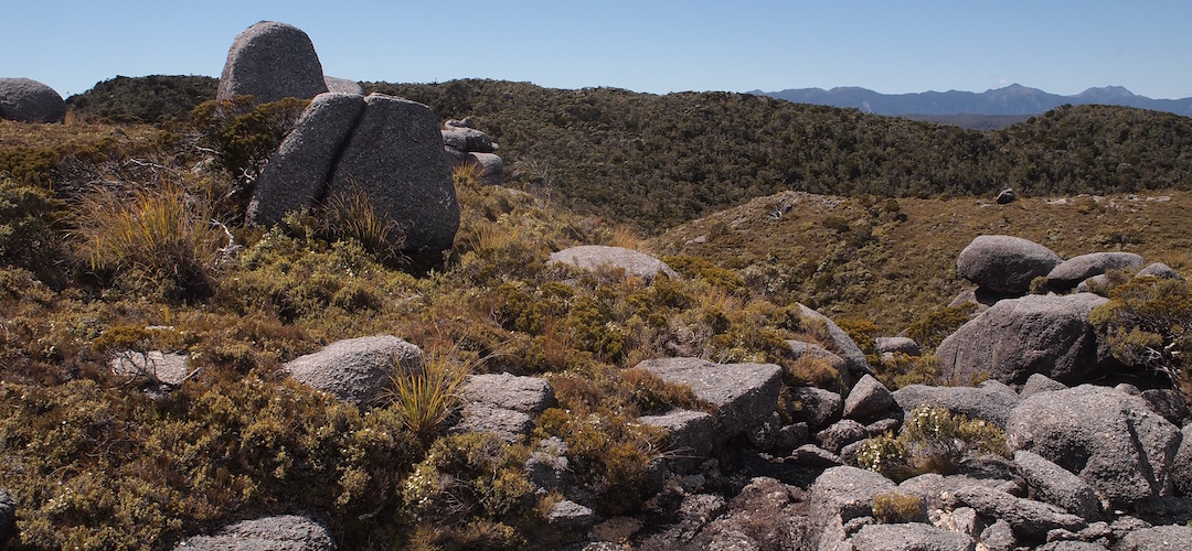 About to head down Monument Creek  to the main track.  | Kahurangi National Park