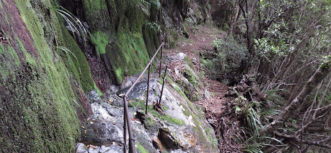 In the 1890s blokes smashed a pack trail through the granite. |  Near Helicopter Flat Hut, Wangapeka Track, Kahurangi National Park