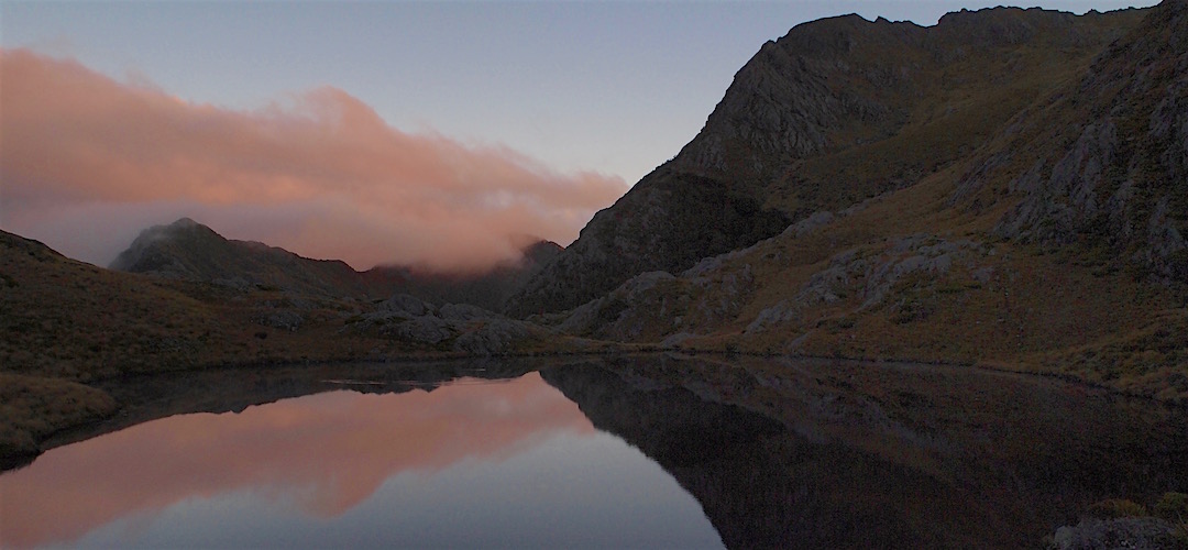 Sunrise at Adelaide Tarn. Real nice. | Kahurangi National Park