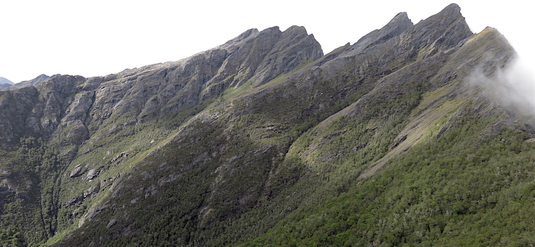 The Dragons Teeth Upper Route charges across there.  Not for me. | Kahurangi National Park