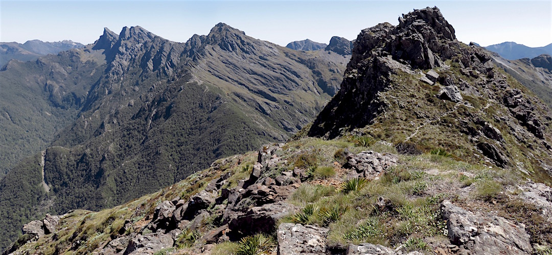 She's a rugged range: Dragons Teeth, Anatoki, etc. | Near Lonely Lake, Kahurangi National Park 