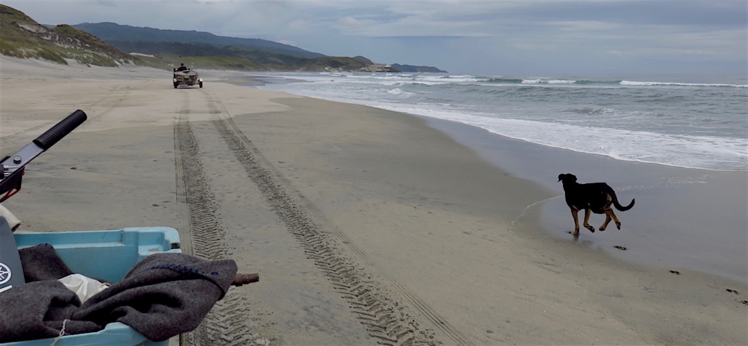 My ninth ride for the day on the back of a quad bike. | near Kahurangi lighthouse, Kahurangi National Park