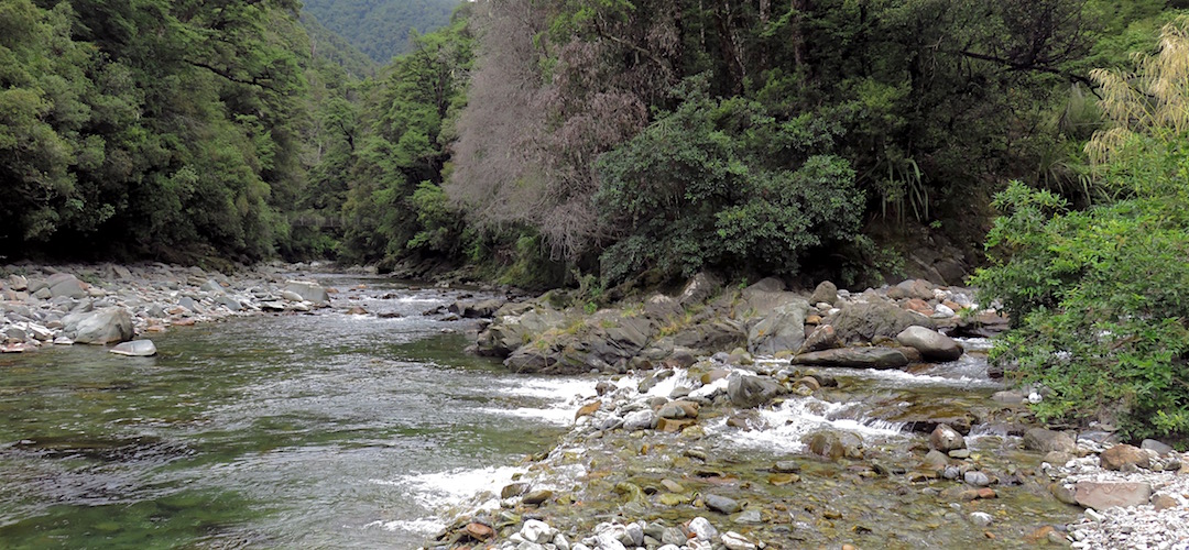 Kiwi Stream meets the Wangapeka River. Swingbridge in the distance. | Wangapeka Track, Kahurangi National Park