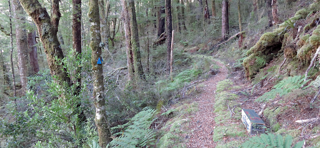 A stoat trap on the track. | Wangapeka Track, Kahurangi National Park