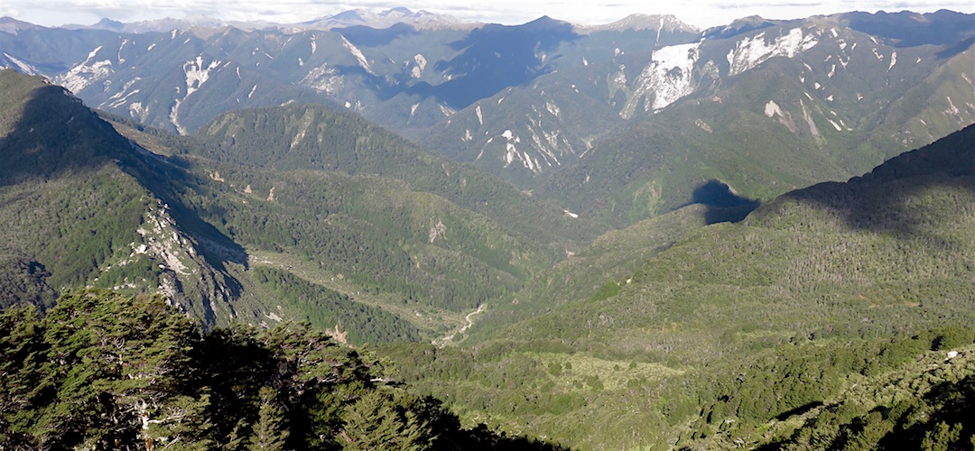 I just came up the valley and then up the hill, cross country style. | Matiri Ridge and Valley, Kahurangi National Park