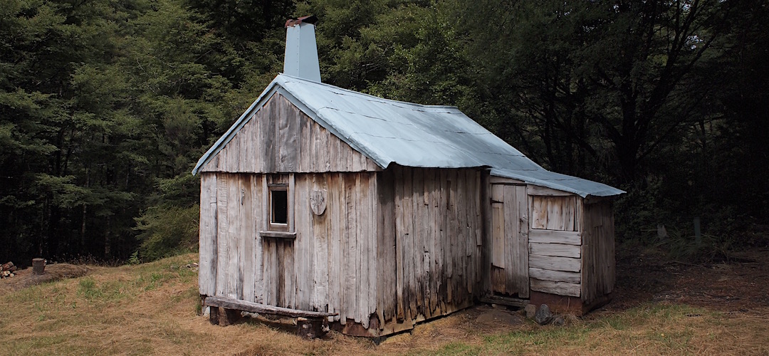 Built from a single red beech tree in 1935, allegedly. | Cecil King Hut, Wangapeka Track, Kahurangi National Park