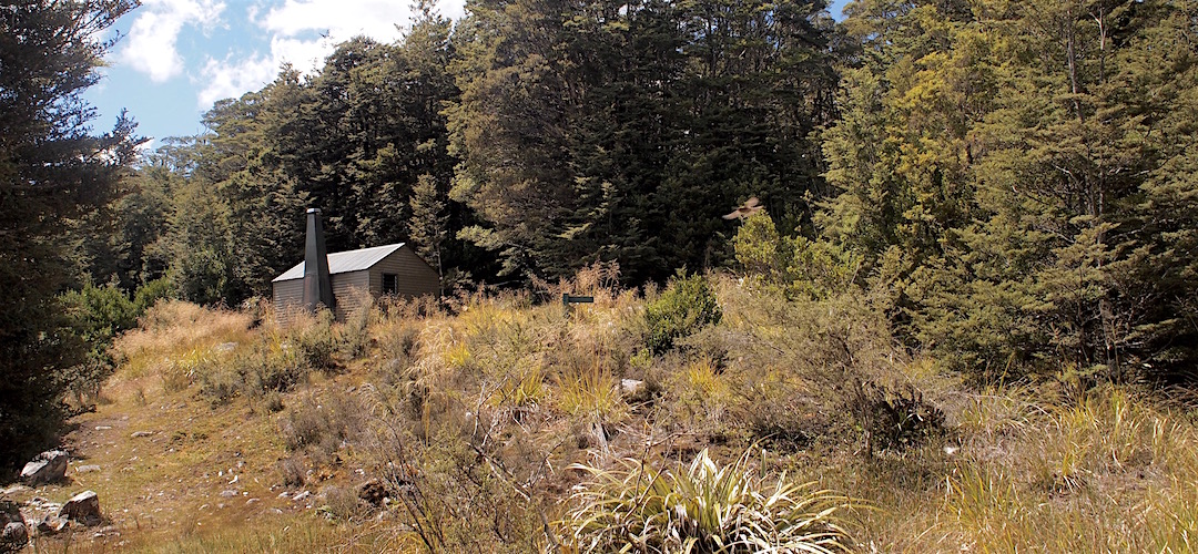 In the middle of a large clearing. | Kiwi Saddle Hut, Kahurangi National Park