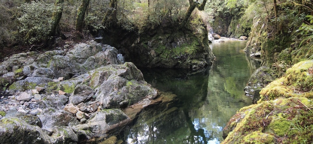 Karamea River