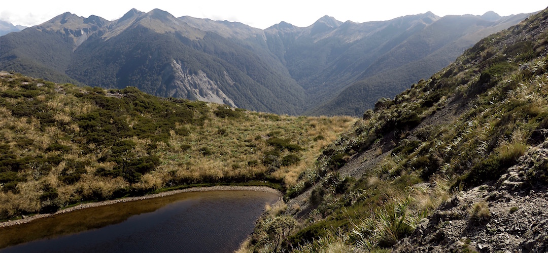 There's some tussock-free grass down there. | Matiri Ridge Tarn campsite